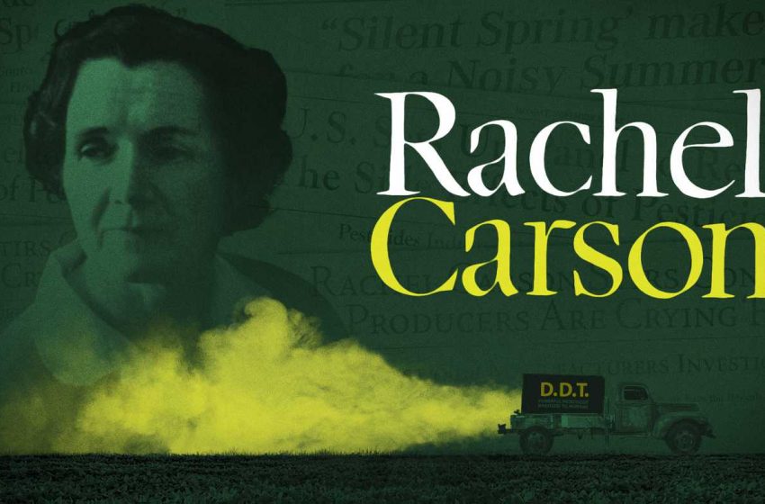  Rachel Carson, Mother of Environmental